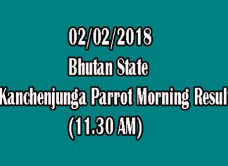 Bhutan Kanchenjunga Parrot Morning Result