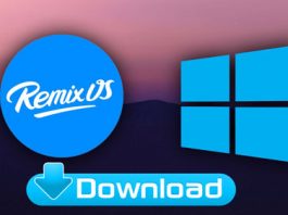 Download Remix OS Player