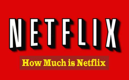 How Much Does Netflix Cost