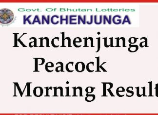 Kanchenjunga Peacock Morning Today Result