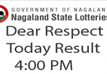 Nagaland Lottery Dear Respect Result Today