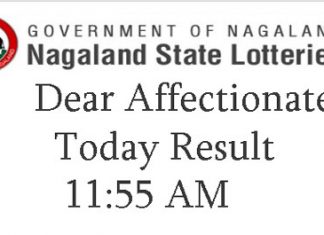 Nagaland State Dear Affectionate Result