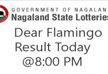 Nagaland State Lottery Dear Flamingo Result