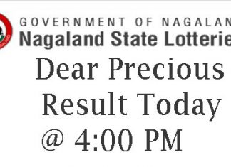 Nagaland State Lottery Dear Precious Result